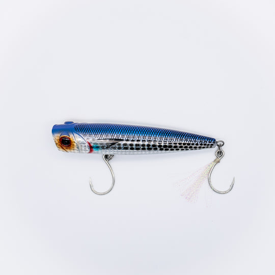 Coastal Series Popper