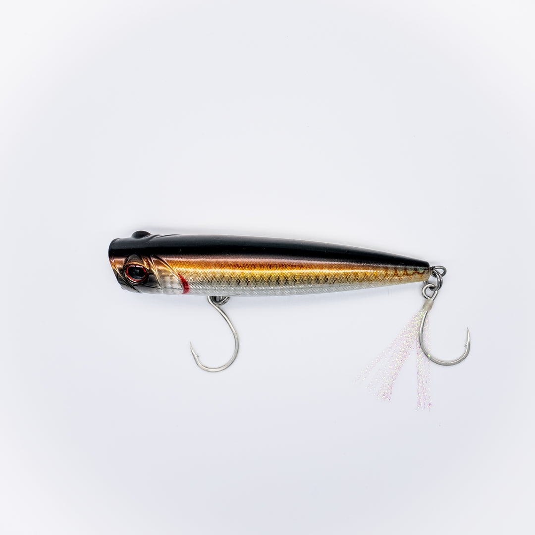 Coastal Series Popper