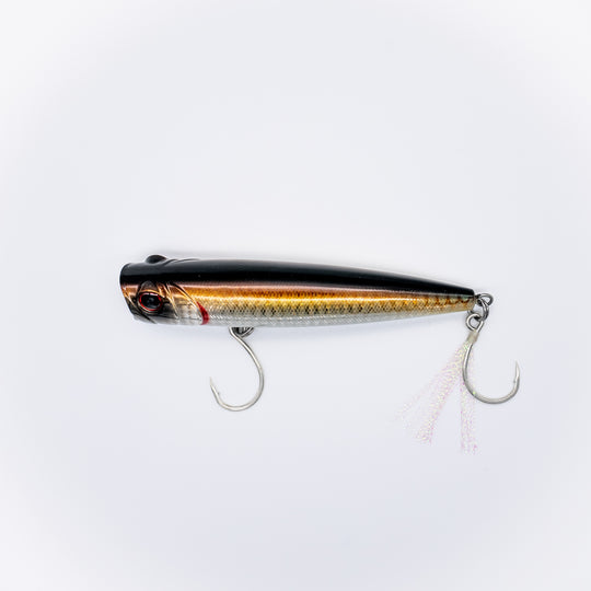 Coastal Series Popper