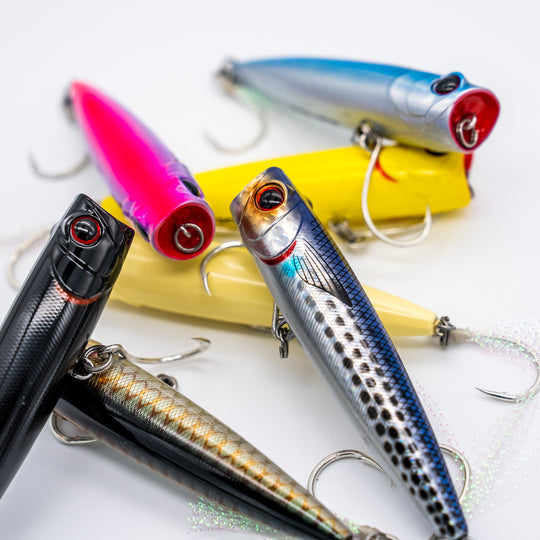Coastal Series Popper